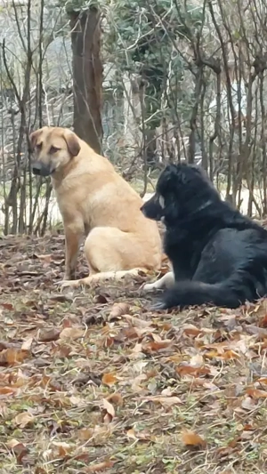 Sandi - NOTFALL Österreich Bild 7