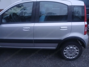 Fiat Panda 4x4 Bj 2009, angehendes Liebhaberfahrzeug Bild 3