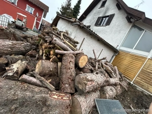 brennholz  Bild 2