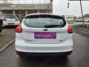 Ford Focus Bild 13