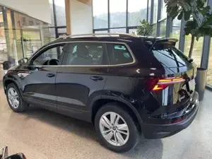 Skoda Karoq Bild 9