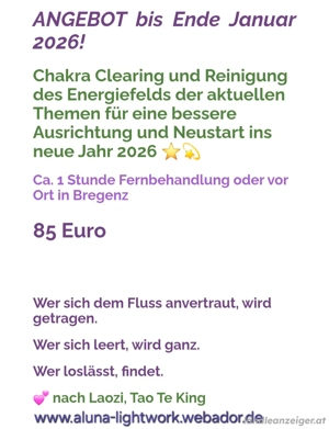 Energetikerin in Bregenz