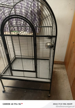 Groß Käfig  Bild 3
