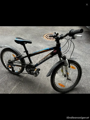 Fahrrad Kilimanjaro Bild 5