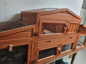 Kleintierstall Hasenstall Wachtelstatt Bild 2