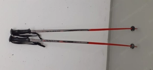 Schistock 120 cm Länge