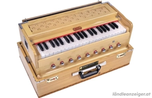 Harmonium Mantra Singkreis Yoga Bild 4