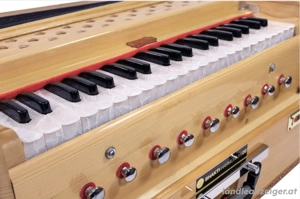 Harmonium Mantra Singkreis Yoga Bild 5