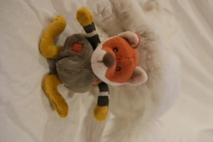 Plüschtiere & Kinderhüte im Paket