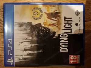 PS 4 Spiel Dying Light Bild 2