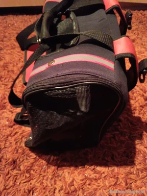 Katzen  Welpen Tragetasche Neu! Bild 3