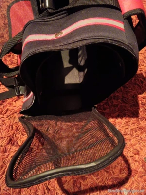 Katzen  Welpen Tragetasche Neu! Bild 6