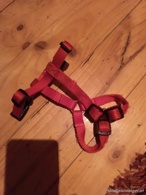 Brustgeschirr Chiwaowao  Bild 2