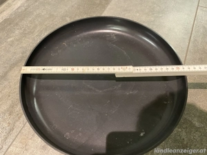 Pflanzenroller Rollbrett  Bild 2