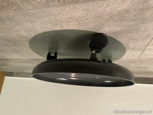 Pflanzenroller Rollbrett  Bild 3