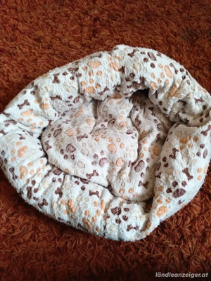 Katzen Bettchen & Zwerghunde  Bild 4