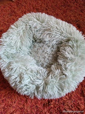 Katzen Bettchen & Zwerghunde  Bild 3