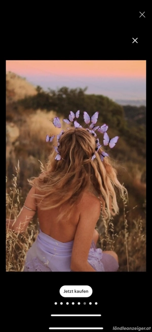 Schmetterlingskrone - larp