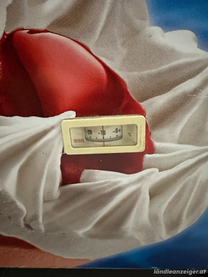 Tiefühltruhe Frisko Bild 2