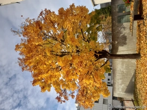 Suche Arbeit über die Feiertage 