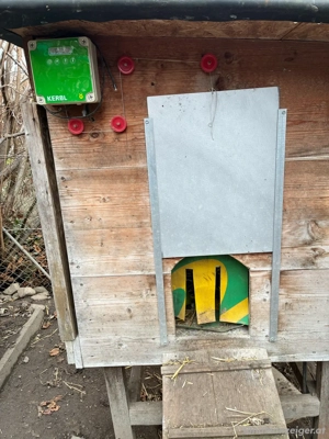 hühnerstall mit auto türöffner  Bild 2
