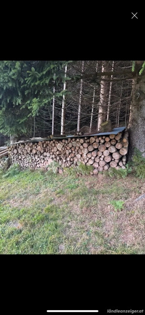 Brennholz weich 1m rund Bild 3