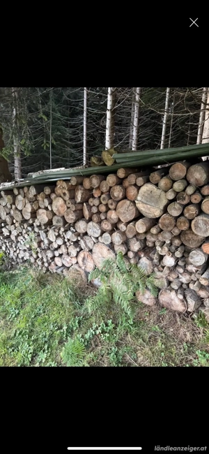 Brennholz weich 1m rund Bild 2