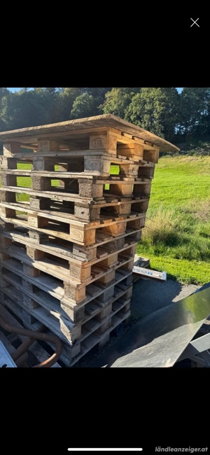 Euro Paletten  Bild 3