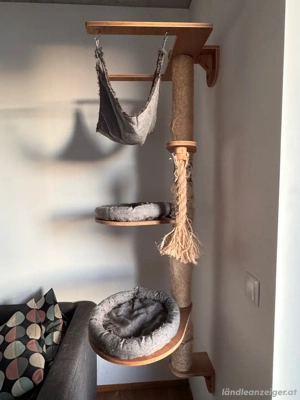 Wandkratzbaum Bild 2