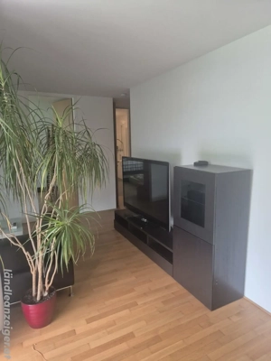 Tolle 2 Zimmer-Gartenwohnung,Neubau Bild 5