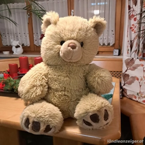 Teddybären 