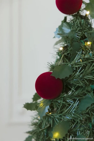 Weihnachtsbaum  Bild 4