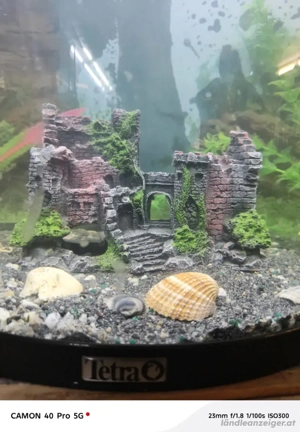  Aquarium  Halb Kreis 