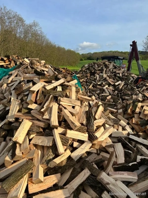 Brennholz  direkt vor die Haustür  60 RM 25cm 33cm oder 1m Bild 3