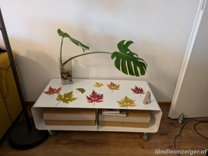 Designer TV-Bank weiß mit Rollen