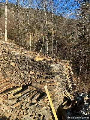 Brennholz  Bild 3
