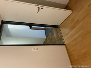 Nachmieter gesucht in Lustenau