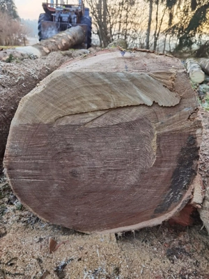 Verkaufe Eiche  Bild 2