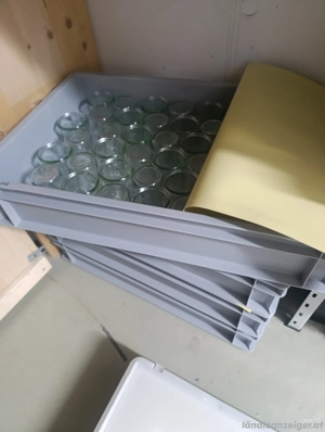 Dessert Gläser Weck ca.250 Stk Bild 2