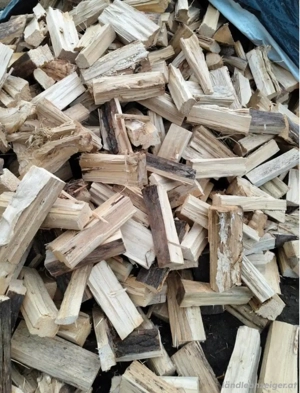 Trockenes Brennholz Bild 5
