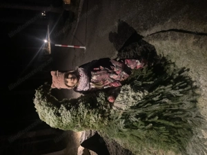 So wirst du wieder richtig geil auf deine Frau