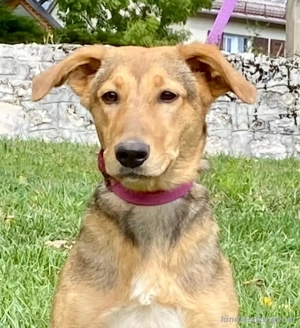 Sova möchte Teil IHRER Familie werden Bild 4