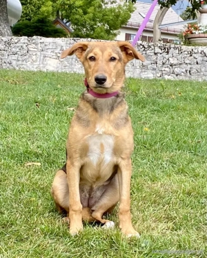 Sova möchte Teil IHRER Familie werden Bild 3