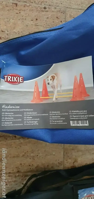 Hundeagility-Set 3 teilig Bild 2