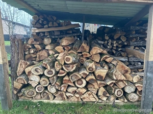 Brennholz Hart gespalten Bild 2