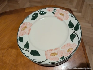 15 Handbemalte Teller von Villerey & Boch Bild 3