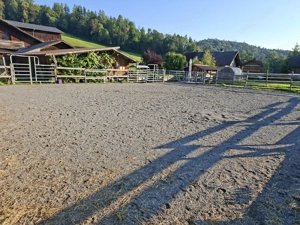 Wallach: vergebe Einstellplatz Bild 10