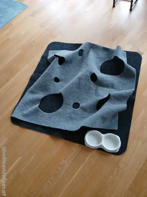 Katzenspielteppich