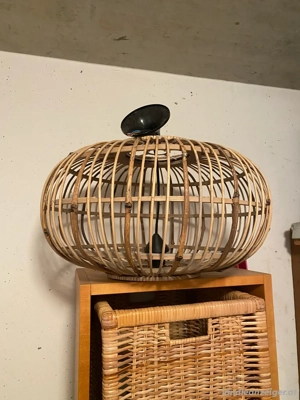 Hängelampe   Deckenlicht