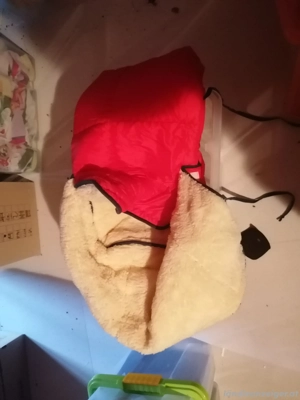 Rodel mit Kindersitz Bild 3